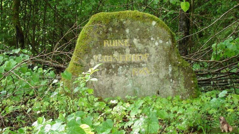 Ritterstein Nr. 201-2a Ruine Faunerhof.JPG - Ritterstein Nr.201 Ruine Faunerhof